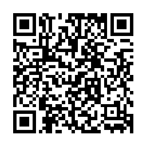 但是李县长的意思恐怕也是想要等到你来以后由你来确定入选二维码生成