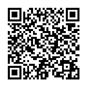 但是李晶做出这样的动作应该没有故意吸引卢向东的意思二维码生成