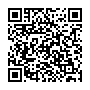 但是李锐根本就不相信云兔会弄出这么一个深的洞当窝二维码生成