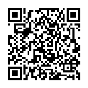 但是来自唐劫的压力这刻却实实在在的带给他无尽压迫的感觉二维码生成