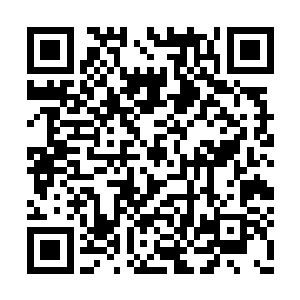 但是杨晨能感觉到这种食物中蕴含的惊人的效力二维码生成