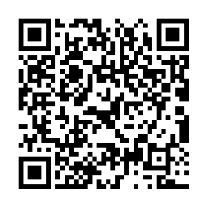 但是林烽还是伸手在这些贴身衣物里面摸索了几下二维码生成