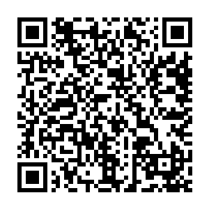 但是柔弱的小女生哪里是王世子这个强壮到变态程度的家伙的对手二维码生成