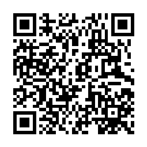 但是桃姐是知道苏紫萱对李敏进一点也不感兴趣二维码生成