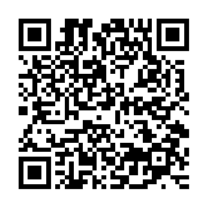 但是梓箐觉得自己还另外想一个名字算了……那就叫…梓柯吧二维码生成