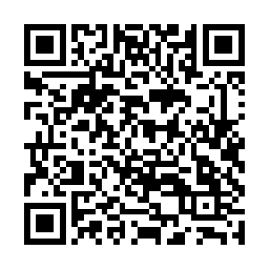 但是正如其余位面和费南之间有一条恐怖的鸿沟一样二维码生成