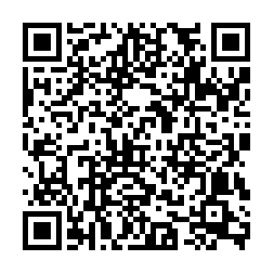 但是正是因为这样的单纯和执着才让这份情谊更加难能可贵神级反派最新章节二维码生成