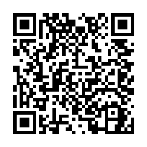 但是正是在他们破碎的身体里面形成了特殊的魂魄二维码生成