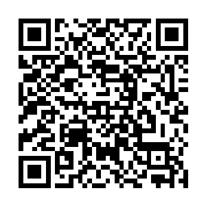 但是此乃关系我们灵蝶宗三千弟子的存亡・我爹的生死二维码生成