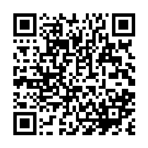 但是此时的实力也绝对不是无极天顶峰的高手能够抗衡的二维码生成