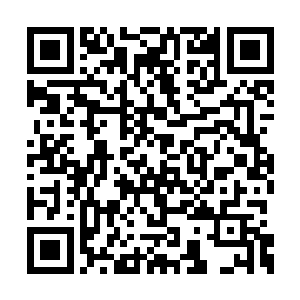 但是此时的张毅却是没有功夫接受同胞们的颂赞二维码生成