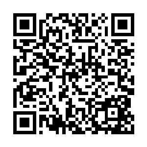 但是此时那些韩国的高手已经十分狼狈的开逃了二维码生成