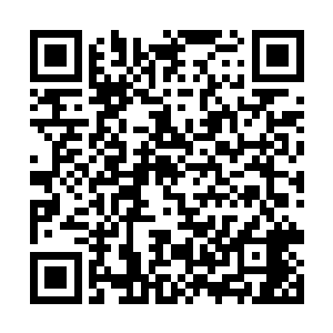 但是此时里面已有二十几个修行者在这里挑选材料了二维码生成