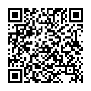 但是此时龙傲天众人早就已经远离了刚才的天外弃星了二维码生成