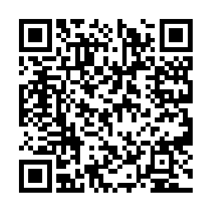 但是死在这些毒蛇的嘴里怕也不是你最好的归属吧二维码生成