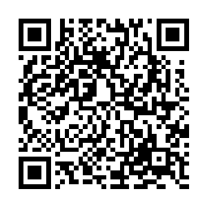 但是每一次来都会被门口那些挺拔威武的警卫给挡在外面二维码生成