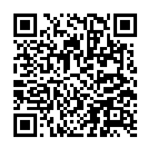 但是每个层级的前十名中倒是最少有着八个是太虚宗修士二维码生成