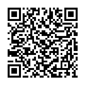 但是每到晚餐后就会雷打不动地坚持去摄政王府二维码生成