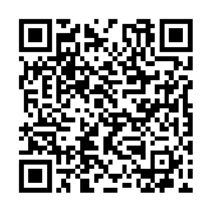 但是比起已经劳累了很多天的老猎手们还是好一些二维码生成