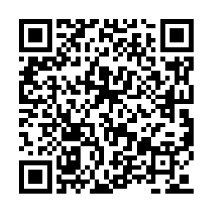 但是毕竟这个宝贝连天宝楼都没有办法打开封印二维码生成