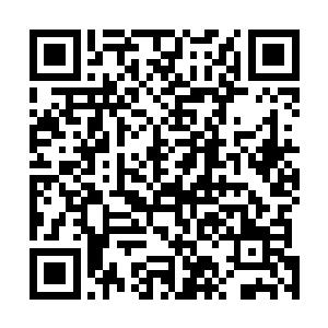 但是江海市特别行动处一直以来都是倒数第一还是个事实二维码生成