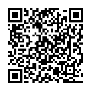 但是没想到你和法国来的夏洛特·德诺阿同学都是男生二维码生成