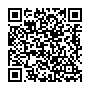 但是没想到却会在这一刻有一种说不出的委屈想要倾泻二维码生成