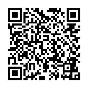 但是没想到我的转世之体竟然跟你产生了这么一段渊源二维码生成