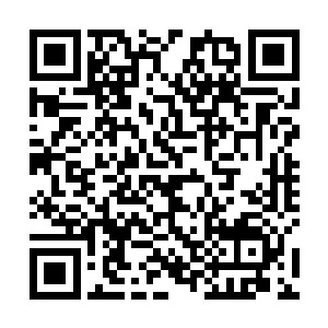 但是流墨墨被封闭了气息的身体上满是黑色藤蔓的花纹二维码生成