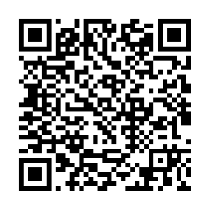 但是混元法灵一定会给你选择最难对付的一百个对手二维码生成
