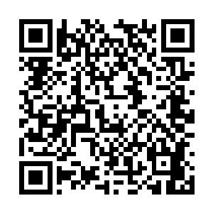 但是湖水的凉意和太阳的照射还是让人感到很惬意二维码生成