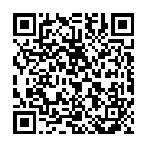 但是潜能却是无限强大的第十子――神龙和人类结合的产物二维码生成