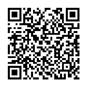 但是激烈程度一点都不输先前蝎群袭击那一次大战二维码生成