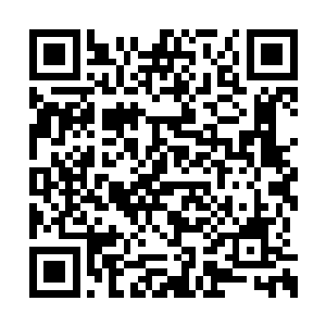 但是炎火族新的仙尊之魂还得等两人才可以传位二维码生成