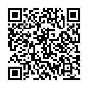 但是猎人却明明感到从对方身上传來一股令他胆寒的杀气二维码生成