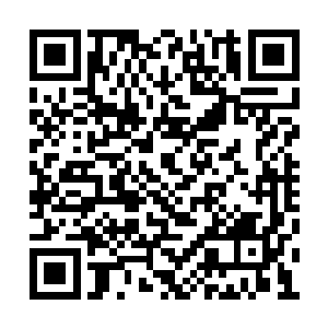 但是王二狗还是在关键之时往下一缩身子躲开了二维码生成