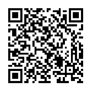 但是王岚手中的钢圈始终死死的扣着高大波的脖子二维码生成