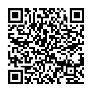 但是王浩还是在自己的局长办公室亲自接待了赵长枪二维码生成