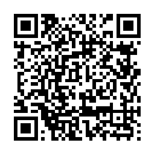 但是现在俩人相互表白的心意以后反而不敢看自己二维码生成