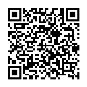 但是现在却有身在西陵而且还很有肯能是西陵皇室的人二维码生成