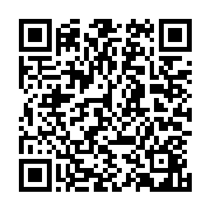 但是现在叶秋却告诉他们这件事情竟然就是像他们想的那样二维码生成