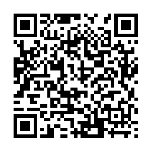 但是现在小金乌太子突然只拿着那些九连环就跑走了二维码生成