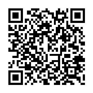 但是现在归墟之主的生死却直接关系着转轮星域二维码生成