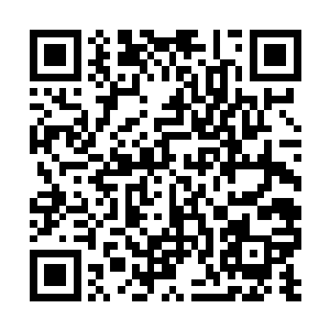 但是现在当金冠皇蟒与那个外国人厮杀再一起之后二维码生成