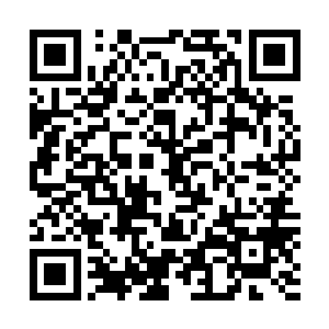 但是现在手里握着一颗放入凡间都能轰动全世界的顶级宝贝二维码生成