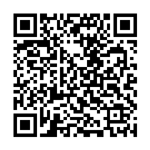 但是现在看到南宫流云露出只在她面前表现的这一面二维码生成