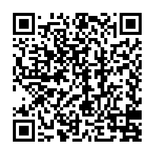 但是现在眼前这个可怜巴巴的望着定王妃的人真的是威风凛凛的定王叔么二维码生成