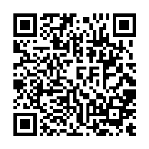 但是现在眼神已经不同的陌路离殇却依旧看出了不同之处二维码生成