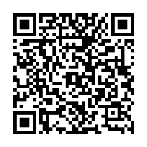 但是现在突然冒出来的这桩事儿一下子打乱了她的规划二维码生成