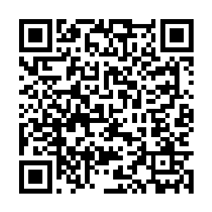 但是现在苏落既然已经推断出了里面有一只小幼崽二维码生成